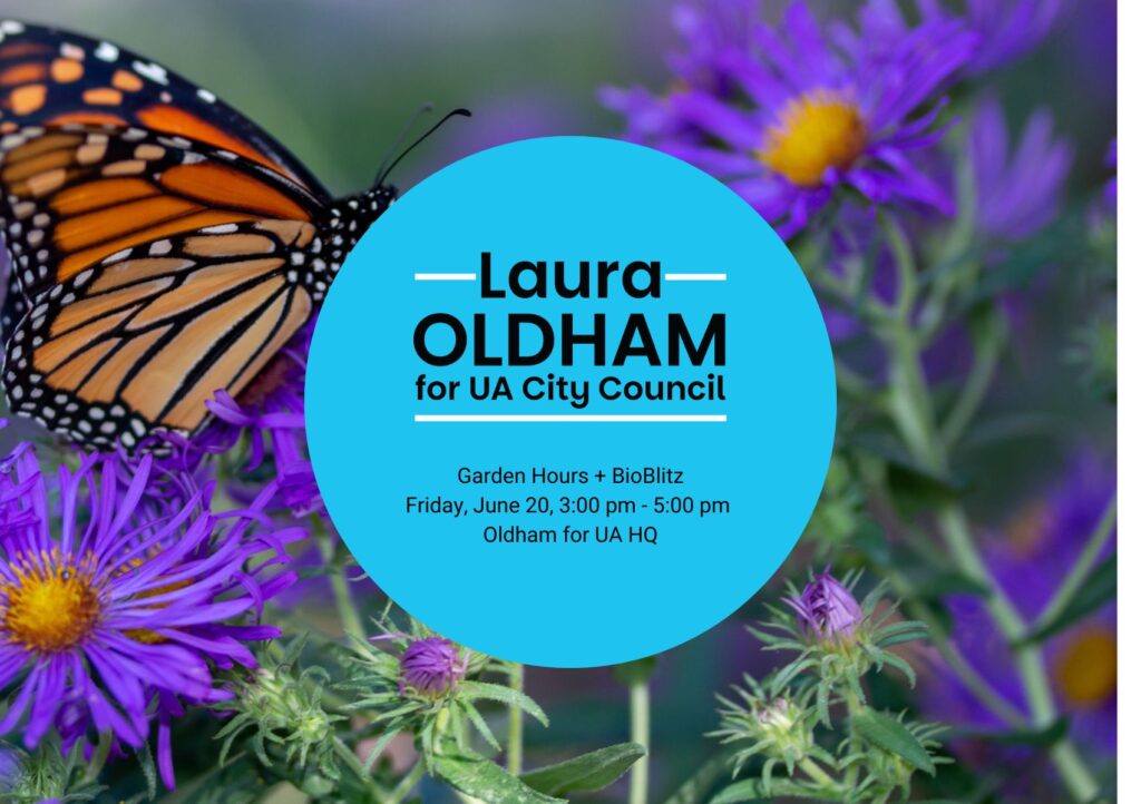 Garden Hours + BioBlitz Oldham for UA Campaign event with graphic featuring a butterfly and asters