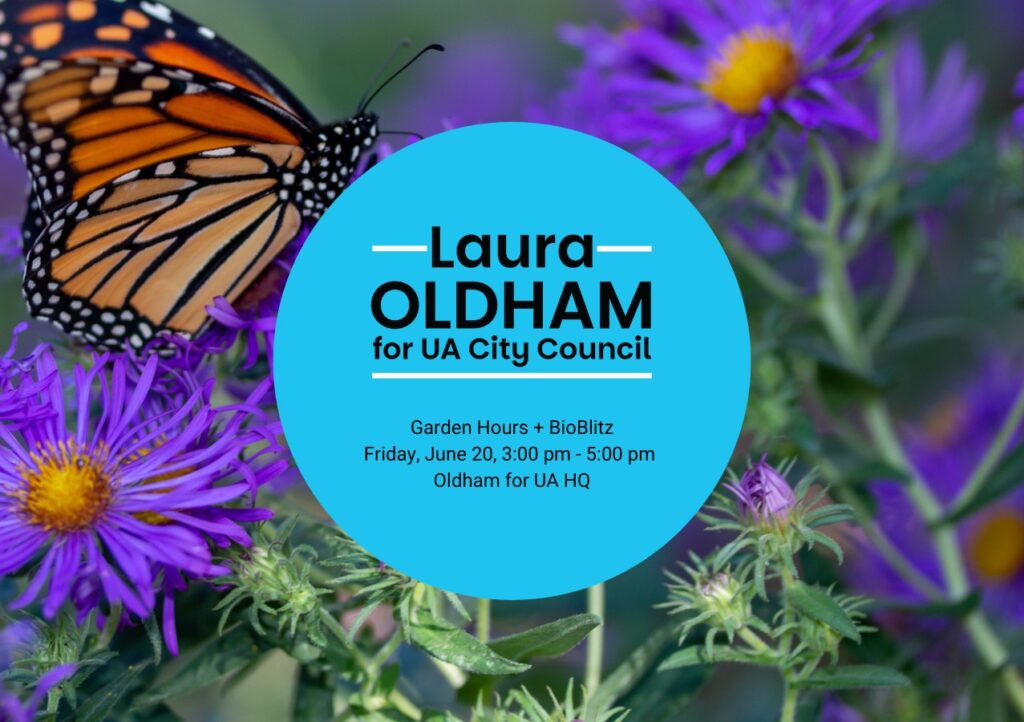 Garden Hours + BioBlitz Oldham for UA Campaign event with graphic featuring a butterfly and asters